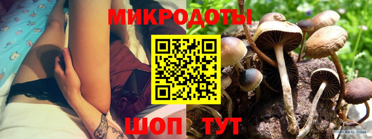Псилоцибиновые грибы прущие грибы  Вход с VPN  Кулебаки 